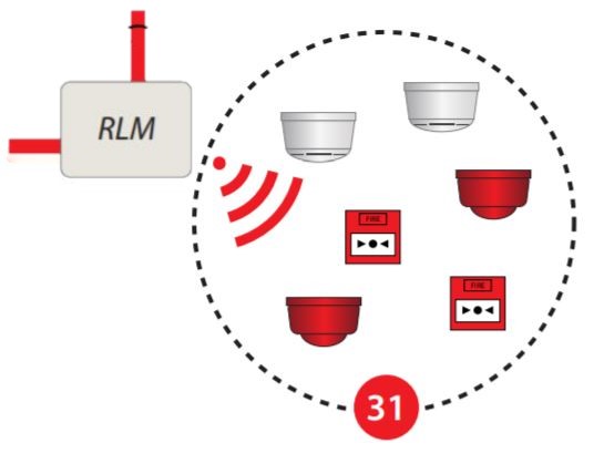 Ziton Radion Loop Module (RLM) ZPR868